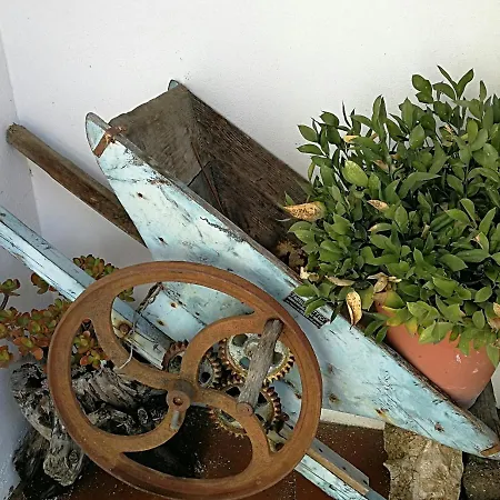 Casa Sa Cheiedda Feriehus Dorgali