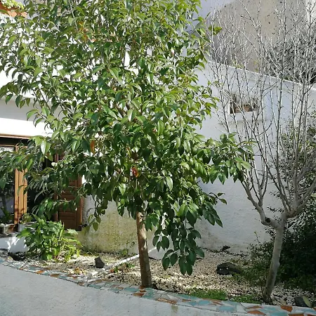 Casa Sa Cheiedda